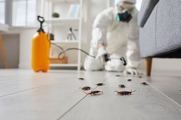 Trusted Fumigation Services service in South Coventry, CT - Nex Pest Control