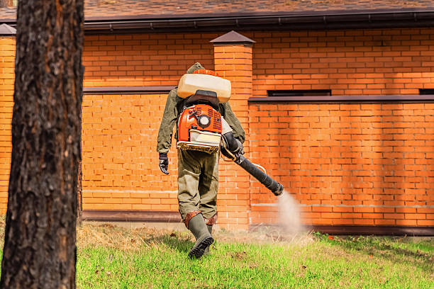 Trusted Cockroach Control service in South Coventry, CT - Nex Pest Control